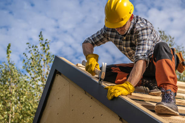 Best Asphalt Shingle Roofing  in Ennis, TX